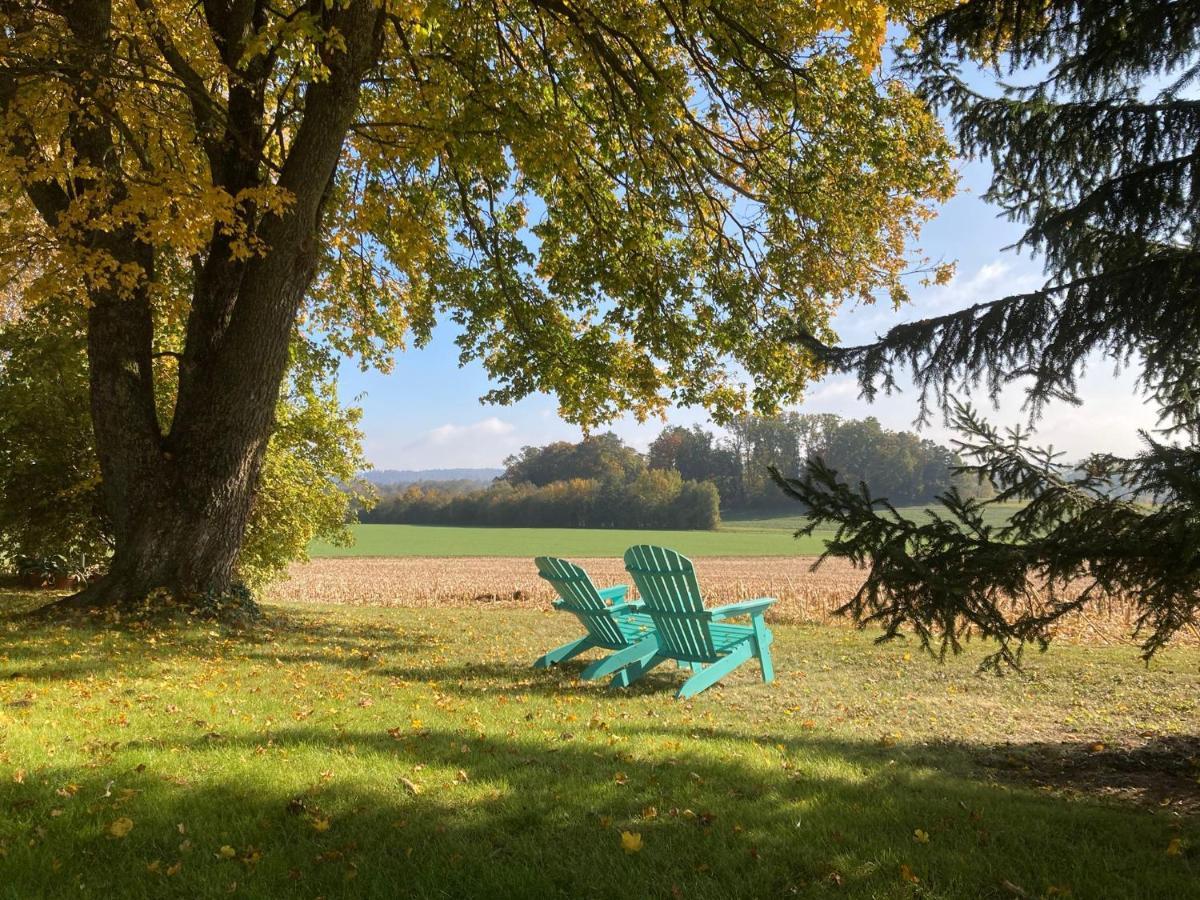 Büsingen am Hochrhein Radfahren, Wandern, Natur geniessen Exterior foto